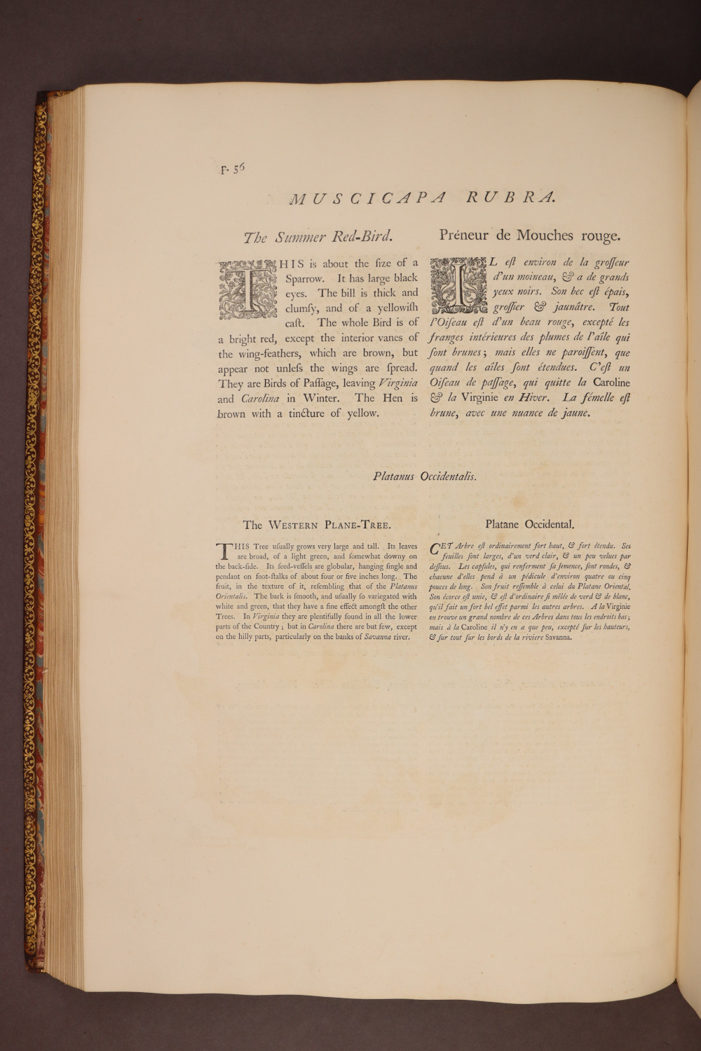 Page 56